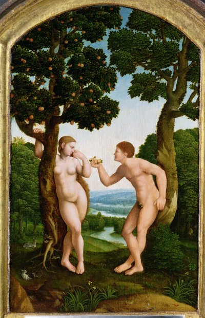 Adam und Eva im Paradies von Jan van Scorel